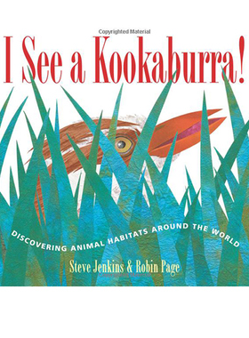 英文原版 I See a Kookaburra! 世界各地动物栖息地 知识科普绘本 凯迪克大奖作者 史蒂夫·詹金斯 Steve Jenkins