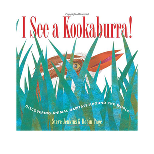 英文原版 I See a Kookaburra! 世界各地动物栖息地 知识科普绘本 凯迪克大奖作者 史蒂夫·詹金斯 Steve Jenkins