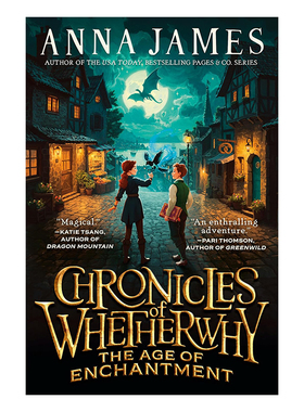 英文原版 Chronicles of Whetherwhy:The Age of Enchantment 魔法学校编年史 青少年冒险小说 Greenwild同作者 Anna James