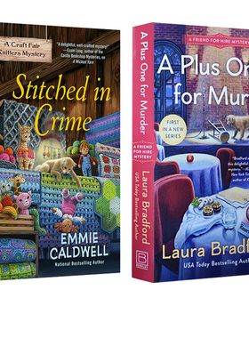 英文原版 A Craft Fair Knitters Mystery  2册合售 女侦探冒险故事章节书 青少年英文课外阅读小说