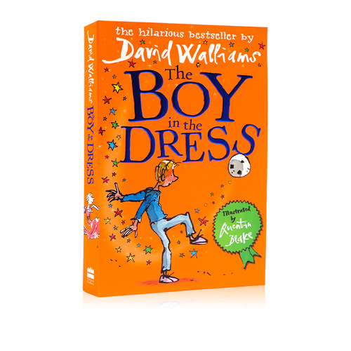 英文原版TheBoyintheDress