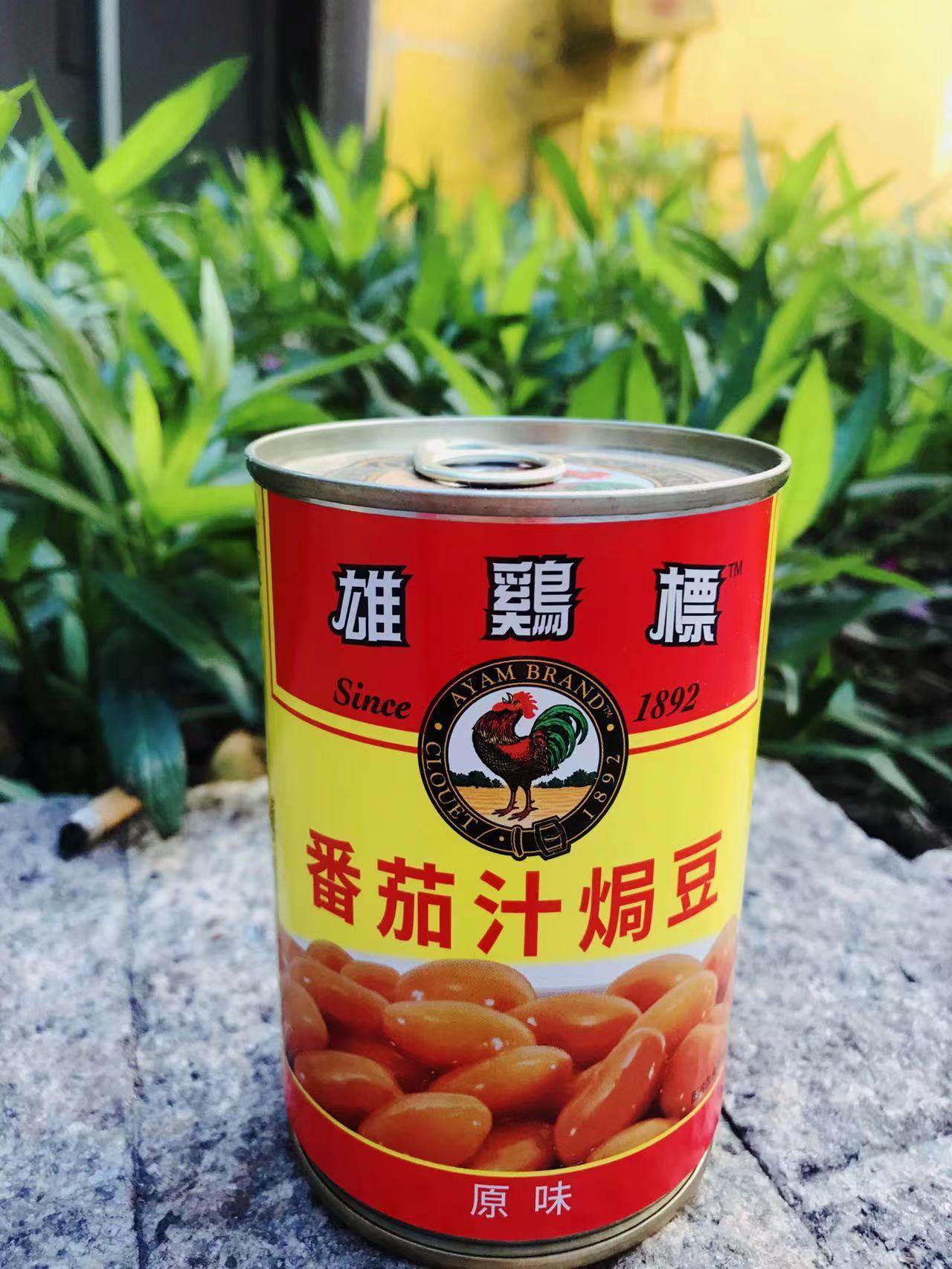 蕃茄汁焗豆原味baked beans白豆 腰豆 豆子蕃茄豆 五谷杂粮豆红豆