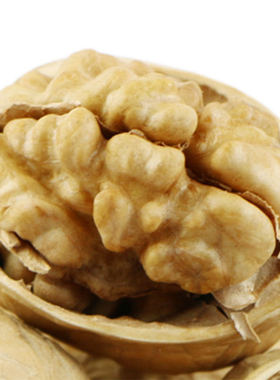 纸皮核桃Thin skinned walnut 新疆干果零食特产煲汤食材500g
