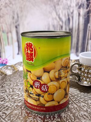 Fresh Mushrooms425g蘑菇罐头 蔬菜罐头食品