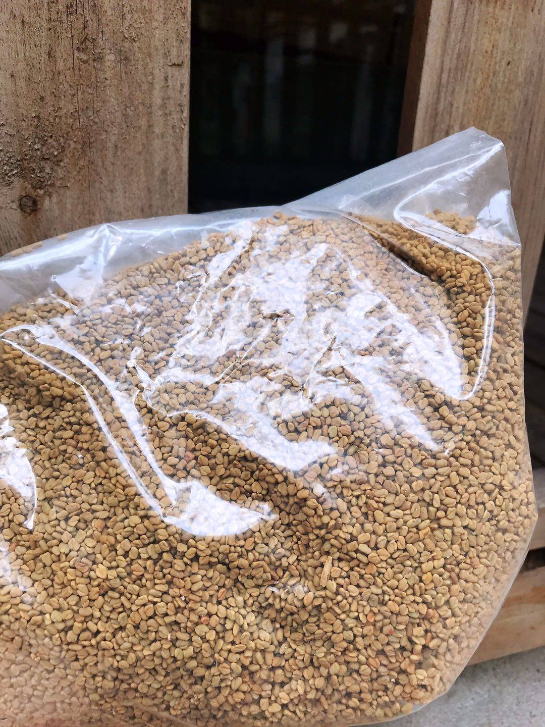 fenugreek seeds葫芦巴籽500g 葫芦巴 葫芦巴子包邮 葫芦巴