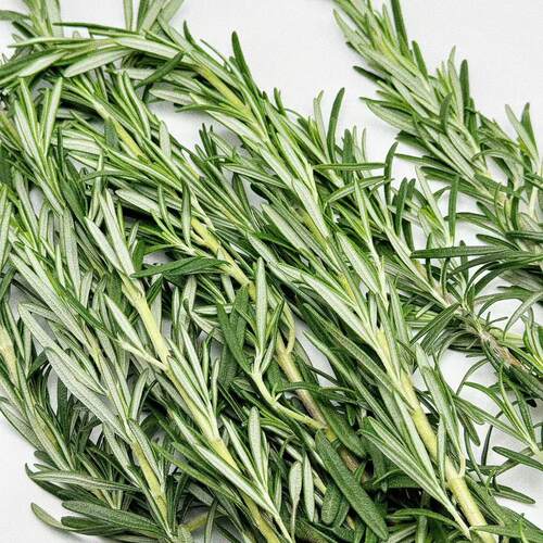 迷迭香干枝食用叶菜类