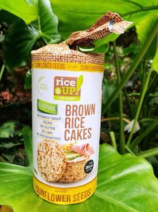 保加利亚葵花籽糙米饼BROWN RICE CAKES保加利亚