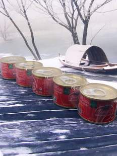 西域莎莎番茄调味酱 番茄膏番茄酱60g／5罐Tomato paste烘培酱