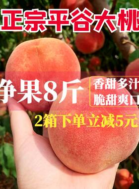 离核脆桃正宗平谷水蜜桃久保14号