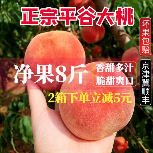 离核脆桃正宗平谷水蜜桃久保14号
