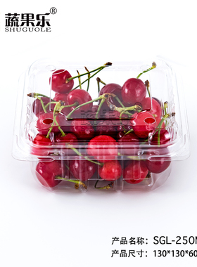 蔬果乐250M一次性透明正方形樱桃盒水果保鲜盒塑料打包盒半斤装