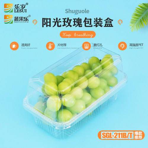 蔬果乐长方形PET阳光玫瑰葡萄盒