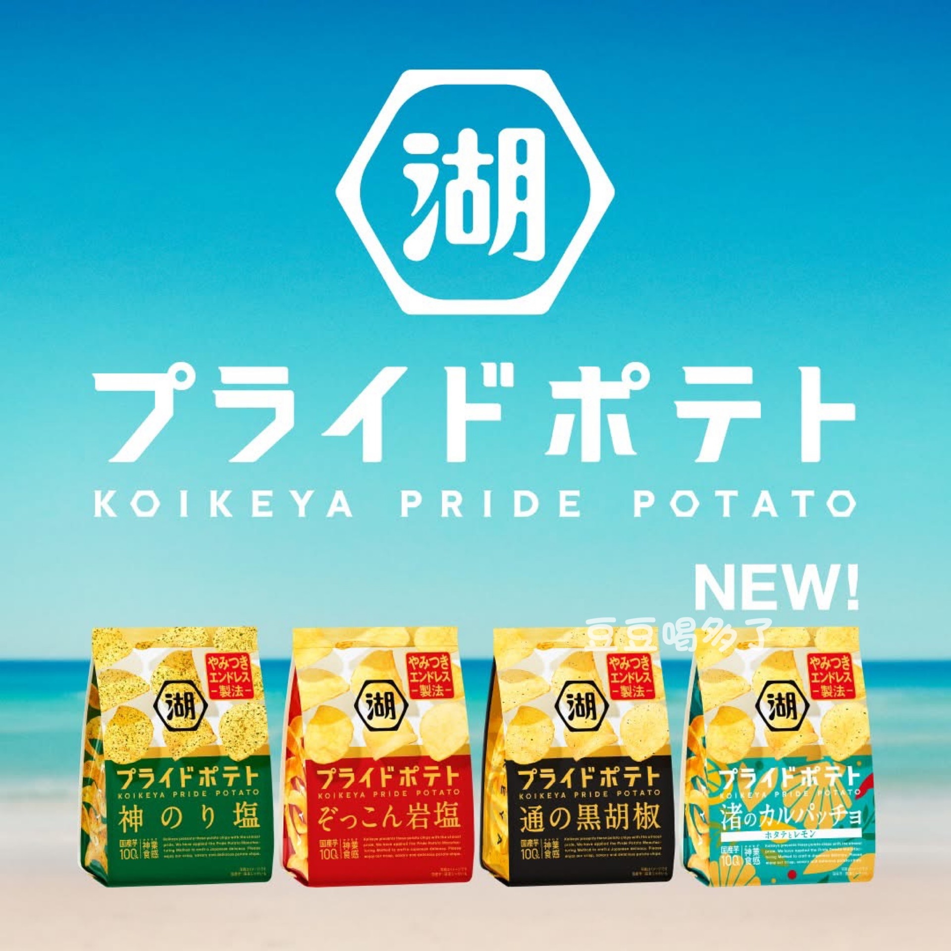 日本本土零食湖池屋经典岩盐味海苔黑胡椒味黄金薯片休闲零食55g