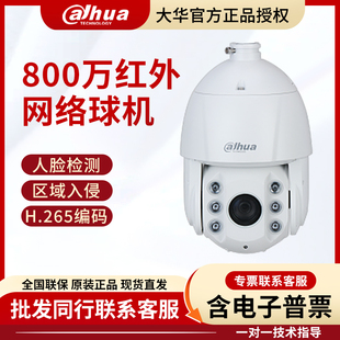 大华6寸800万易智能红外网络球机DH SD6840