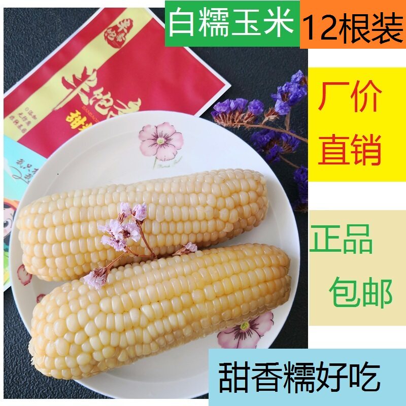 内蒙古半饱斋白甜糯玉米12装新鲜玉米非转基因玉米加农炮农场包邮