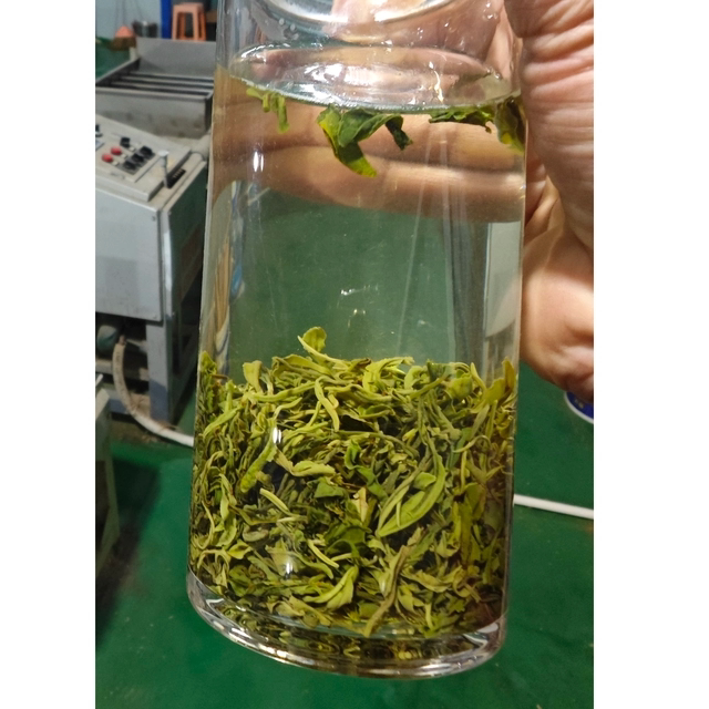2026年新茶孝感绿茶雨前茶孟宗大观山浓香型栗香味毛尖袋装250克
