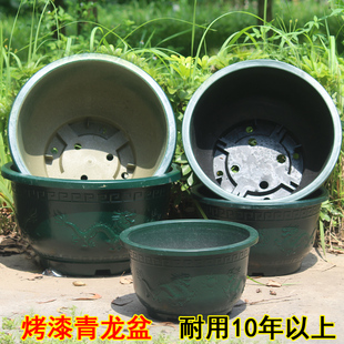 加厚耐晒青龙缸盆户外屋顶庭院种果树盆景绣球大号特大号塑料花盆
