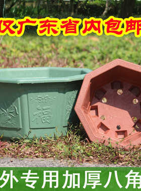 大号特大号加厚八角塑料花盆红绿色种果树盆景三角梅庭院楼顶耐晒