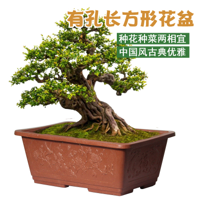 加厚特大长方形塑料花盆种菜耐晒