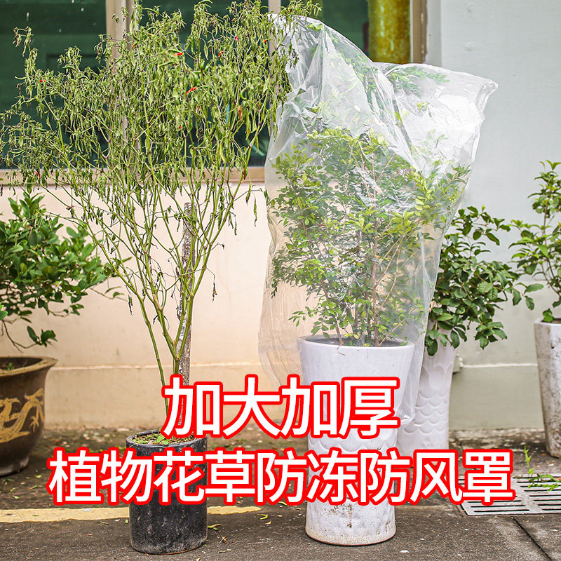 防虫网罩樱桃杨梅蓝莓果树防鸟防果蝇防蚊袋透气透光带绳子抗老化