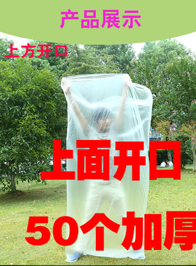 沙棘能量油一次性袋子全排全身袋汗蒸排寒排酸上开口排湿袋沙棘袋