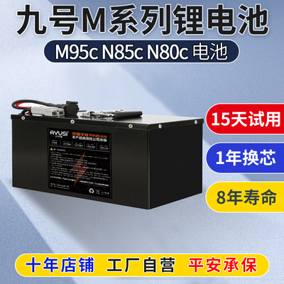 九号m3m95cmax电动车锂电池