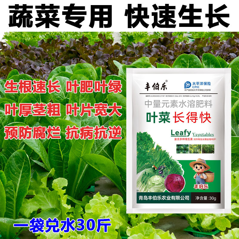 叶菜专用肥料蔬菜速长灵青菜生长素生菜芹菜菠菜香菜黄叶药叶面肥,农用物资,叶面肥,淘宝优惠券,粉丝福利购,淘宝优惠卷