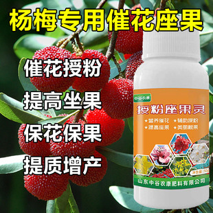 杨梅坐果灵保花保果催花授粉座果防落果防裂增甜樱桃李子桃树通用