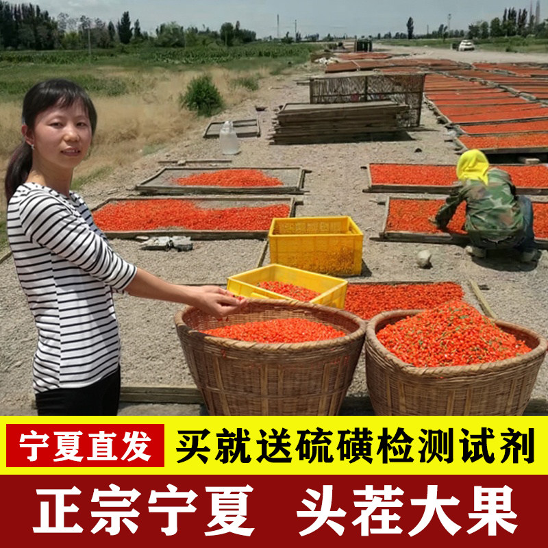 新货头茬中宁苟构红枣枸杞子宁夏正宗特级袋装500g官方旗舰店泡水