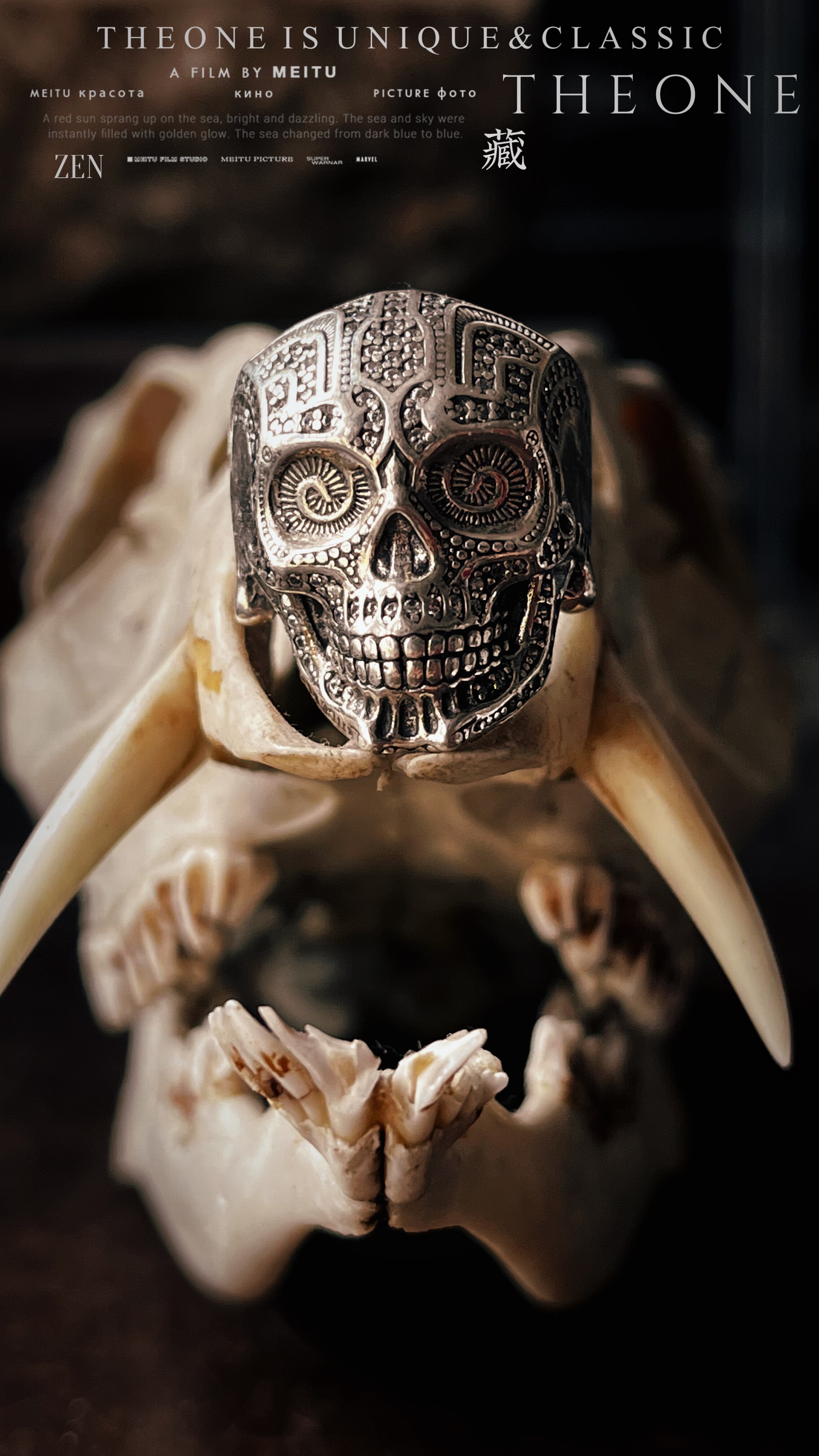 THEONE罕见古董孤品欧洲手工纯银镶钻奢华圣骷髅戒指暗黑雅痞指环