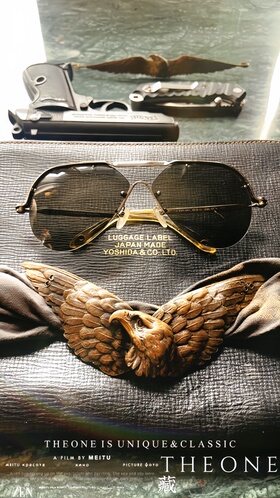 THEONE绝版孤品法国意产手工空军飞行复古蛤蟆镜军风墨镜