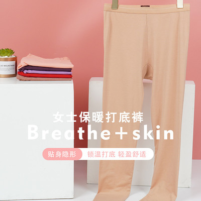 舒卡丝超薄女士圆领莫代尔保暖打底秋裤单件修身秋冬桶装S0251裤