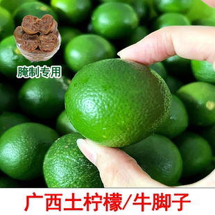 广西土柠檬新鲜牛脚子青柠檬腌制老咸柠专用本地现摘1/2/3/5/9斤