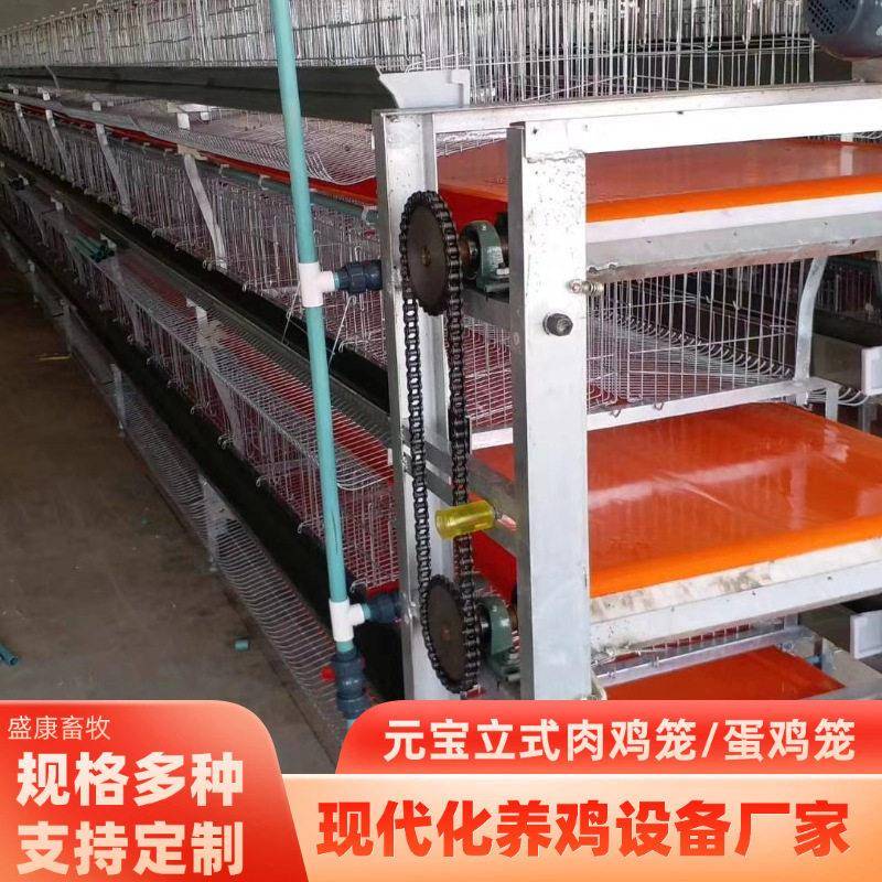 框架肉鸡笼全自动养鸡设备全自动清粪捡蛋镀锌丝元鸡笼子厂家