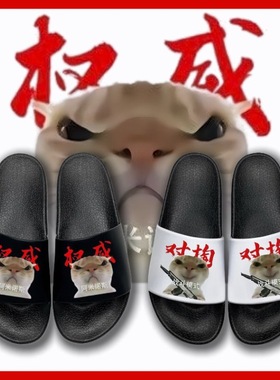 阿米诺斯猫咪权威夏季儿童室内新款外穿拖鞋居家防滑外出软底一字