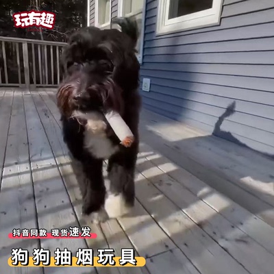 狗狗抽烟玩具可发声仿真香烟盒万宝路整蛊宠物小狗耐咬解闷神器