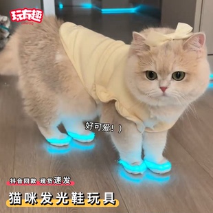 猫咪发光鞋玩具整蛊宠物猫咪狗狗室内夜光反光条鞋子夜间拍照配饰