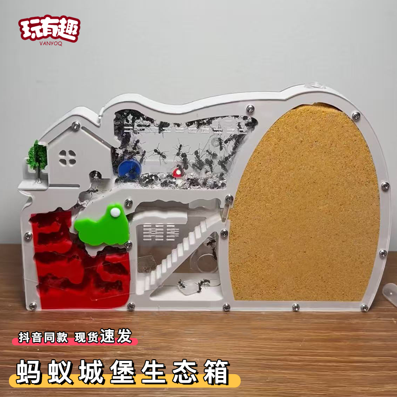 蚂蚁城堡生态箱恐龙化石观察盒子蚁巢饲养箱送蚁后蚂蚁工坊王国