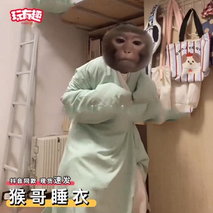 猴哥睡衣齐天大圣孙悟空同款道袍秋冬加绒加厚搞怪绿色长衫家居服