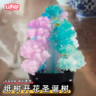 纸树开花圣诞树童年回忆种植浇水开花生长魔法结晶科学实验玩具
