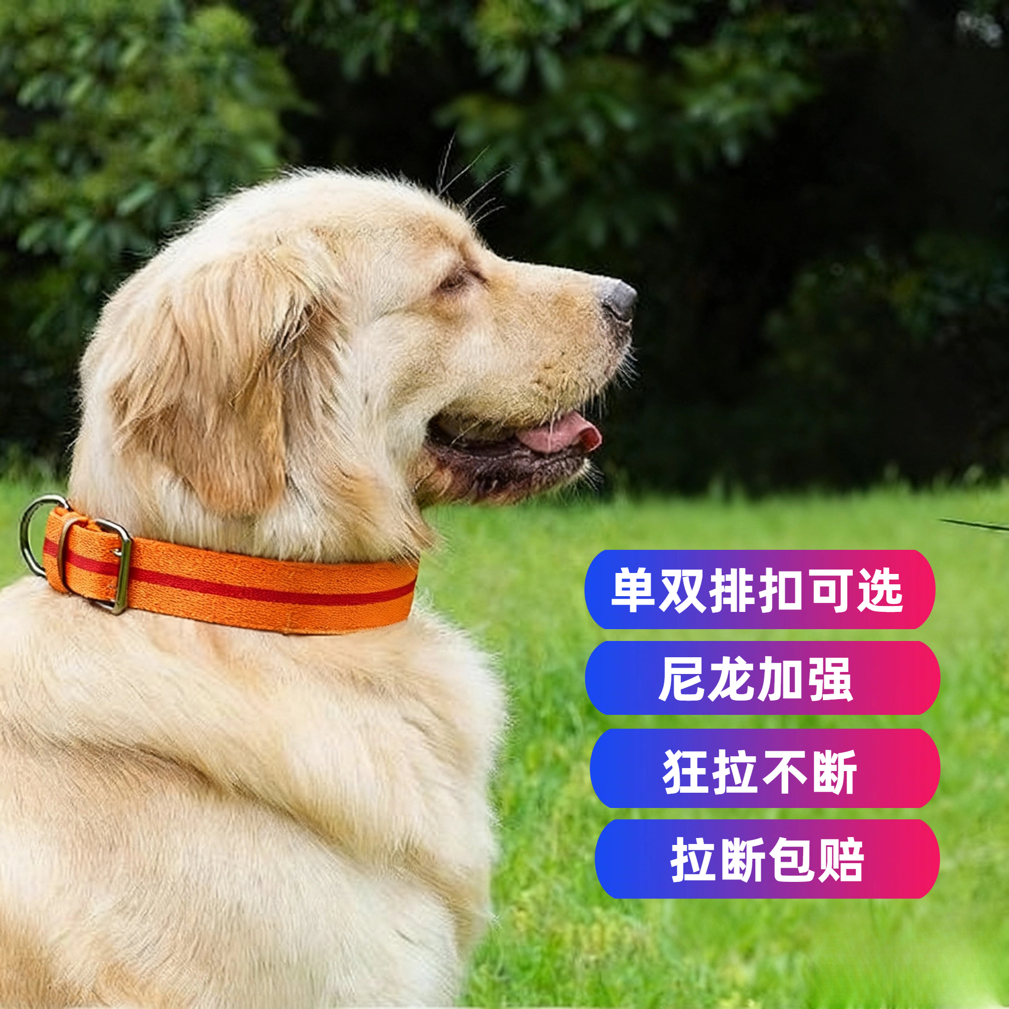 栓狗脖圈大型犬狗狗用品