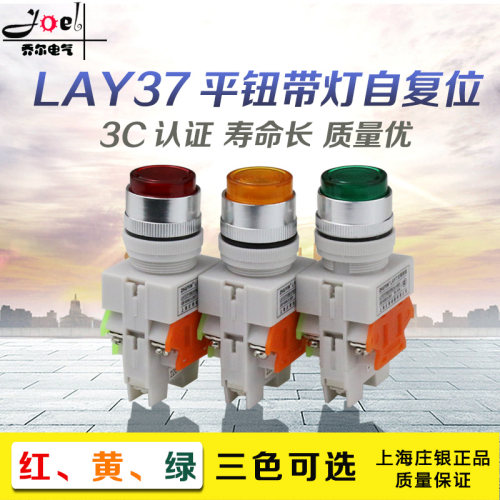 LAY7 LAY37-11D带灯自复位按钮启动停止按键平钮电源开关220v 24v