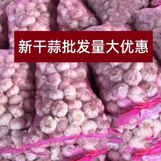 2026新干蒜河南农家大蒜紫皮蒜20斤装蒜头蒜瓣批发紫皮蒜产地发货