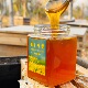 蜂农自己家采集小茴香蜂蜜稀有珍贵蜜种香草蜂蜜新品 上新试吃价格