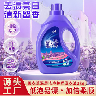 哆姿美薰衣草香型洗衣液家用去污持久留香型清洗剂实惠大瓶装 正品