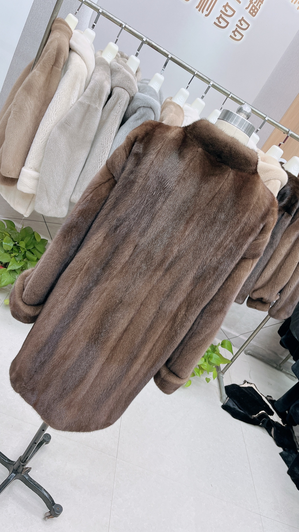 进口天鹅绒紫金短二 咖啡色小母貂 机开全抽刀