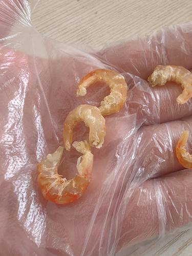 山东威海荣成鹰抓虾海米历虾海米厉虾500克甜晒淡干海米干度好