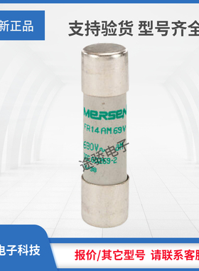 议价罗兰熔断器E213605/FR14AM69V1 H214114/FR14AM69V2供应现货