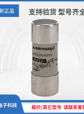 议价罗兰熔断器全新P222216/FR22GG69V6 Q217180/FR22GG69V80