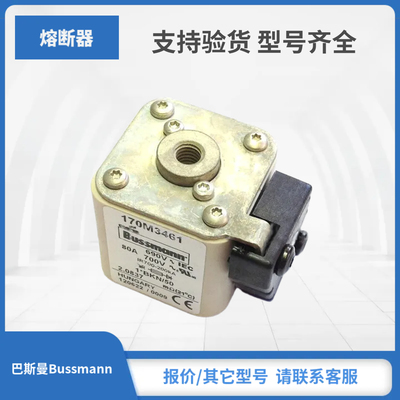 Bussmann熔断器保险丝现货170M3458 170M3459 170M3460 170M3461
